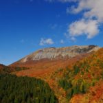 大山の紅葉の見ごろは、例年10月下旬から11月上旬/Q&A