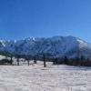 私が実際にスキー場に行って大山ホワイトリゾートの状態を確かめてきました。