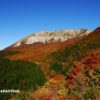 大山の紅葉、例年10月下旬～11月上旬が見頃