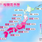 鳥取県の桜はいつ咲く？2021年