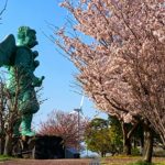 大山町仁王堂公園の桜が見頃！
