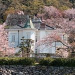 桜と鳥取城址と仁風閣