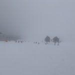 漂泊のスキー日記(2025-26)其の弐。スキー教室の講師！